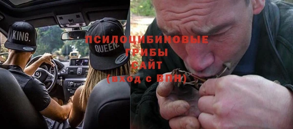 хмурый Липки