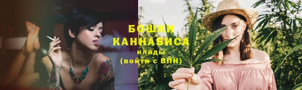 хмурый Липки