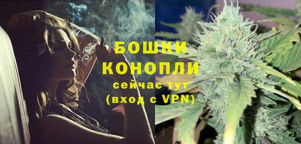 хмурый Липки